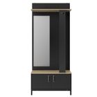 GAMI Meuble d'entrée 2 portes - Made in France - Décor chêne sonoma et noir - L 81 x H 190 x P 37 cm - STORE