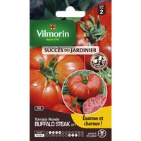 Graines Tomate Ananas Vilmorin - Variété Ancienne, Fruits Gros, Jaune-Orange, Saveur Douce