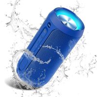 Enceinte Bluetooth Portable-Haut-parleur Bluetooth sans fil-ENCEINTE NOMADE-Extra Bass-20 heures-étanche-Micro intégré-TWS-LED-Bleu