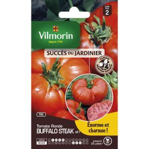 GRAINE - SEMENCE VILMORIN Tomate Buffalo Steak Sachet de graines