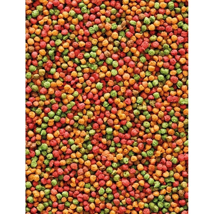 Meilleurs prix pour Compléments alimentaire pour oiseaux Nobby Pet Nutribird B1 3 kg