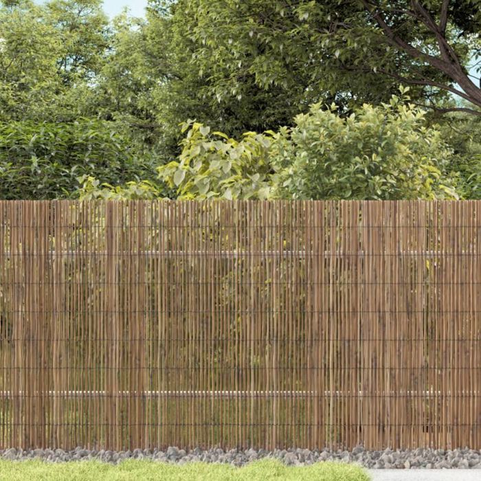 Canisse - brise-vue - brande Vidaxl Clôture de jardin 1000x80 cm roseau