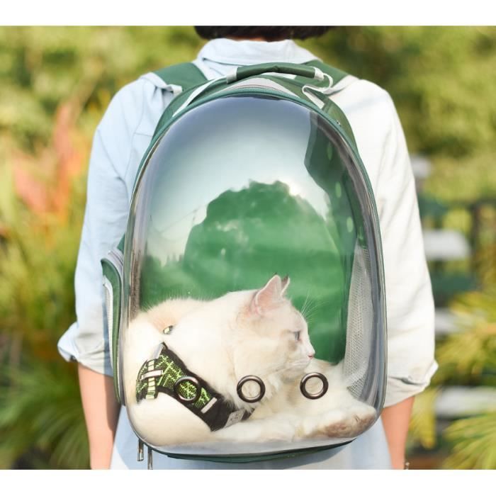 Sac A Dos Portable Pour Chat Chien Animal De Compagnie Sac De Transport A Roulettes Transparent Respirant Pour Voyage Randonnee Camp Cdiscount