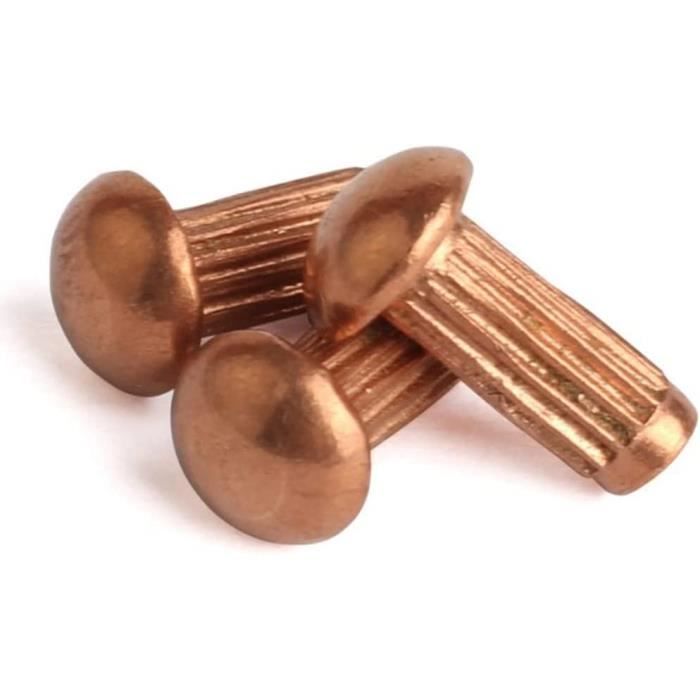 Rc Rivet Lot de 2000 rivets à tige semi-creux en aluminium à tête plate et ronde ...