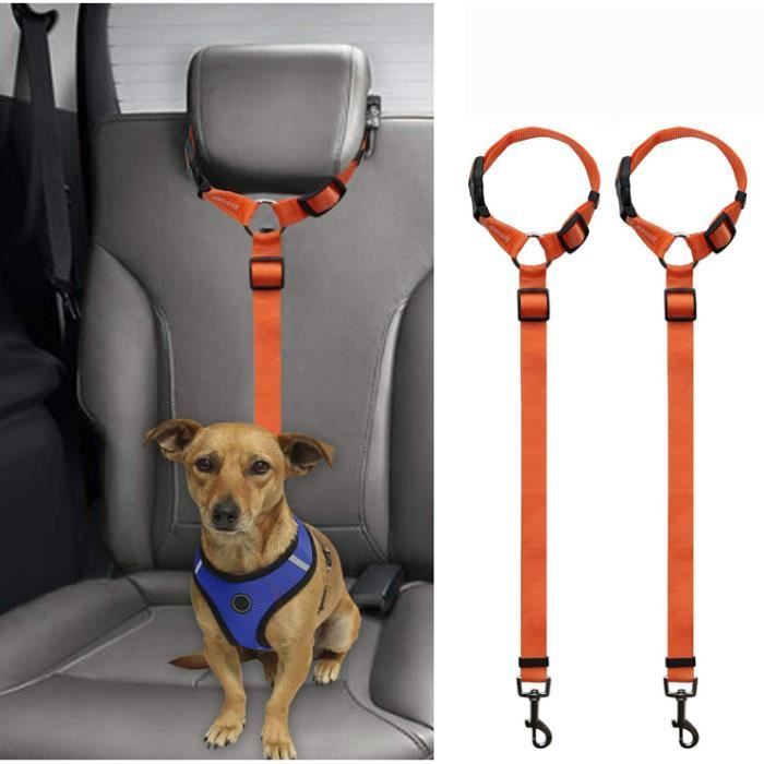 Ceinture De Sécurité Pour Chien Voiture – Longueur Réglable 56-70 Cm – Avec Amortisseur De Chocs – Compatible Harnais - 5