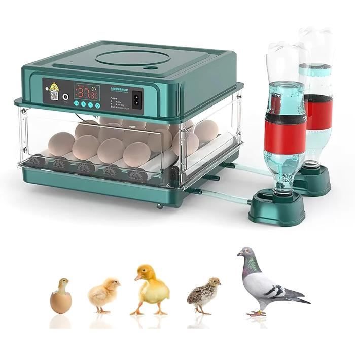Comparer les prix de Couveuse Oeuf AutomatiqueAvec Surveillance De LHumiditéRetournement Automatique Des ŒufsAjout Automatique DEau Et Éclair[L29]
