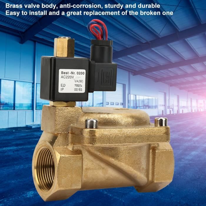 Électrovanne En Laiton 2 Pouces Normalement Ouverte 110V AC - Marque WIC Valve - Pour Air Et Eau - Pression Max 90 PSI