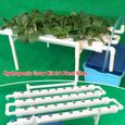 Kit de culture hydroponique Plant Vegetable Herb Hydroponic System 1-Layer 36 L cher-1