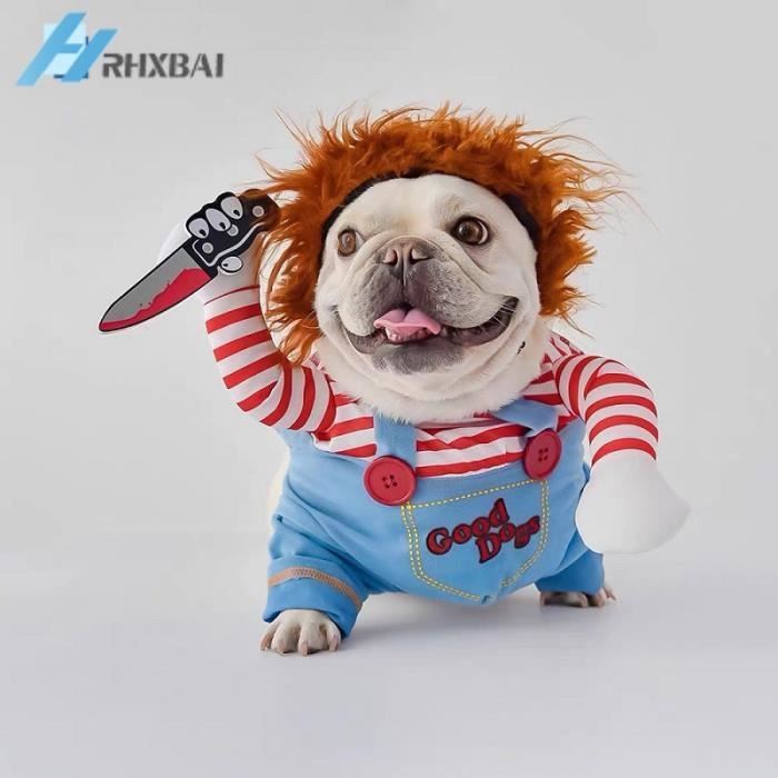 Déguisement deals bouledogue français