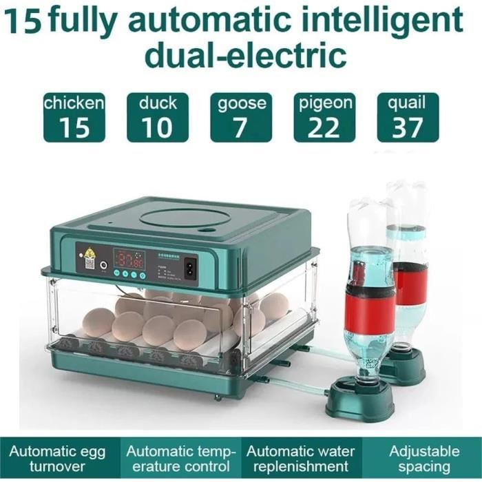Incubator For Chicken Eggs M12 Couveuse Oeuf Automatique - ContrÃ´le HumiditÃ©, RÃ©glage TempÃ©rature Egg Cartons
