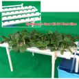 Kit de culture hydroponique Plant Vegetable Herb Hydroponic System 1-Layer 36 L cher-2