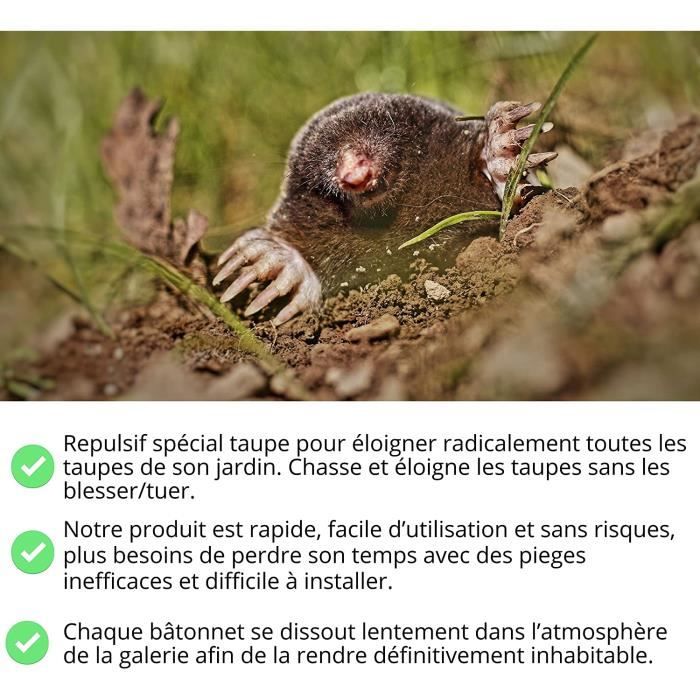 Repulsif Taupe/ Piège à Taupe idéal pour chasser les taupes de son jardin – Anti  taupe, répulsif, piege a taupe, made in France - Cdiscount Jardin