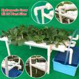Kit de culture hydroponique Plant Vegetable Herb Hydroponic System 1-Layer 36 L cher-3