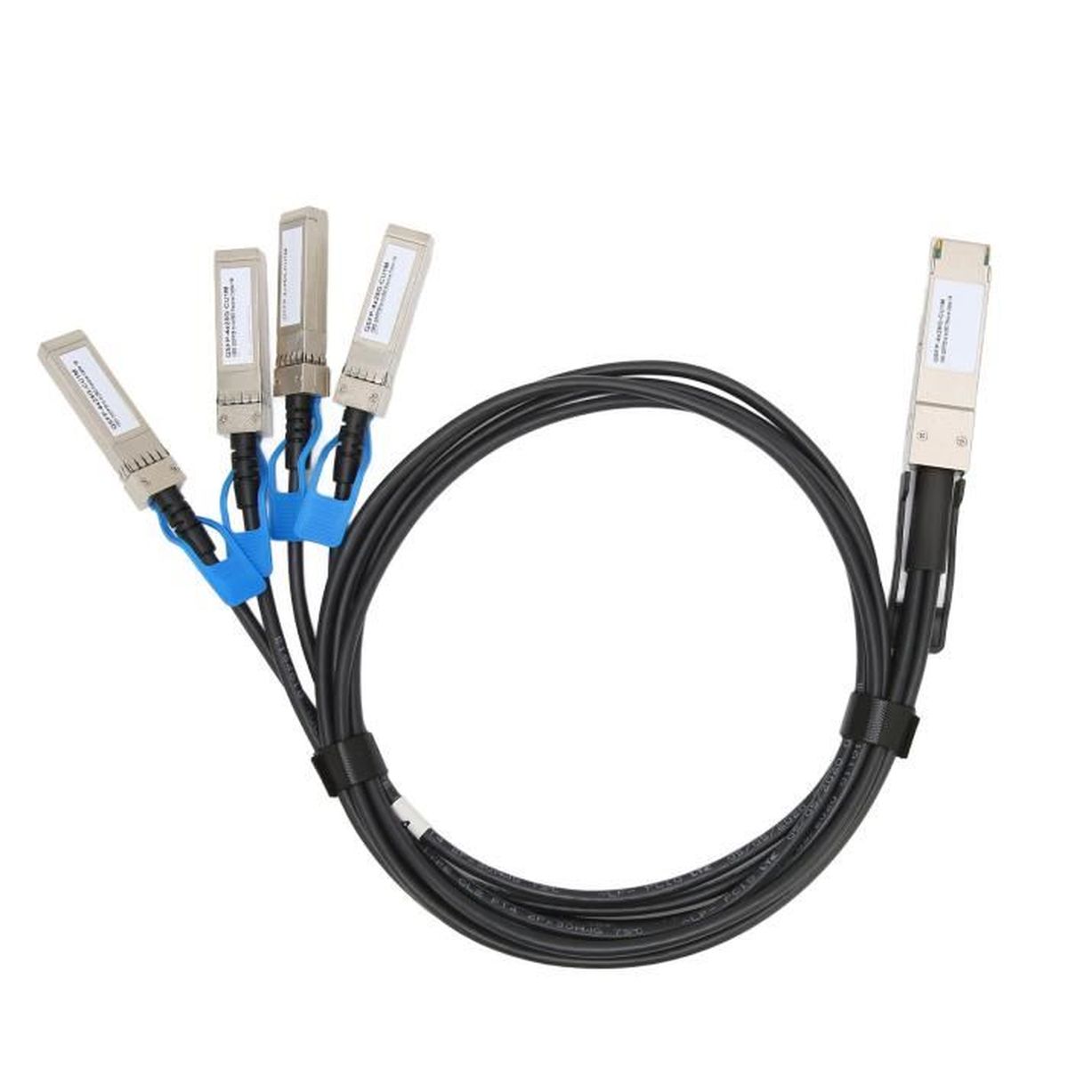 LAN Câble 100G QSFP28 DAC Distance de Transmission de 1 mètre QSFP28 à