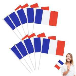 DRAPEAU DÉCORATIF Lot De 10 Petits Drapeaux Français Avec Baguette E