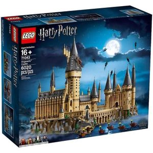 ASSEMBLAGE CONSTRUCTION LEGO® Harry Potter™ 71043 Le Château Poudlard™