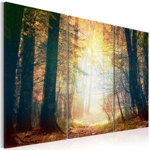 DECLINA, Tableau toile imprimée Paysage, Tableau triptyque Forêt en Automne  , 150x100 cm