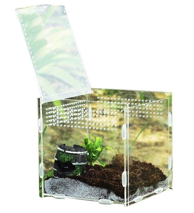 Meilleurs prix pour Terrarium magnétique en acrylique pour reptiles hautement transparentconteneur délevage damphibiens pour animaux de compagnie