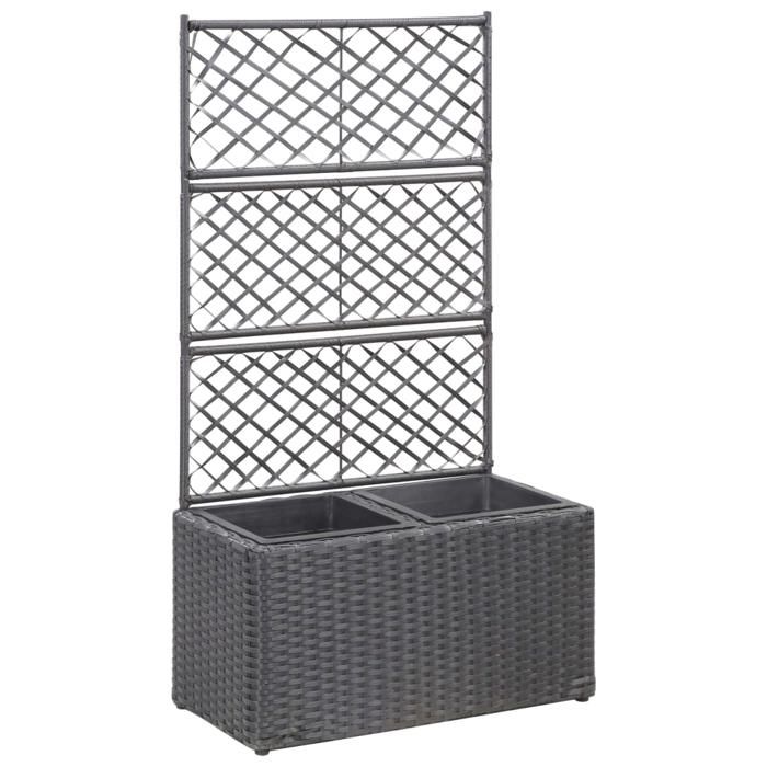 Jardinière surélevée avec treillis - VIDAXL - 58x30x107 cm - Résine tressée - 2 pots amovibles - Treillis intégré