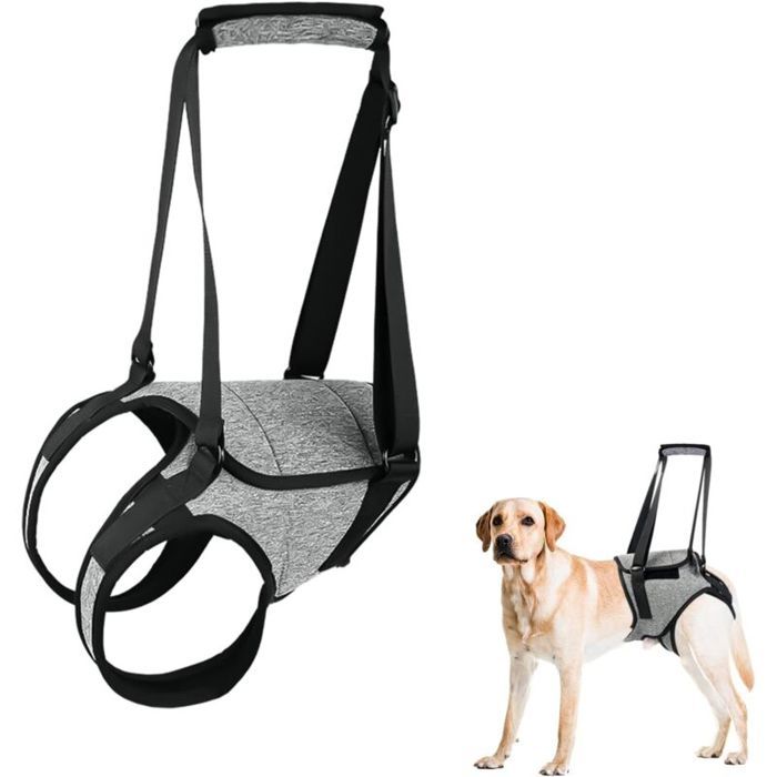 Harnais de soutien pour chien - OKZ® - Tissu polyester doux et respirant - Poignée amovible - Taille M