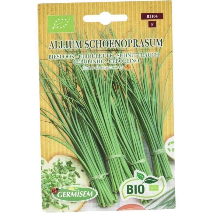 Cresson Vivace Des Jardins Graines