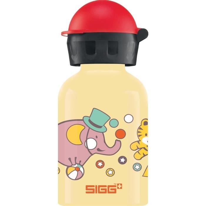 Gourde Aluminium SIGG Traveller 0,6 L - Neutre En CO2, Pour Randonnée Et Voyage, Neuf