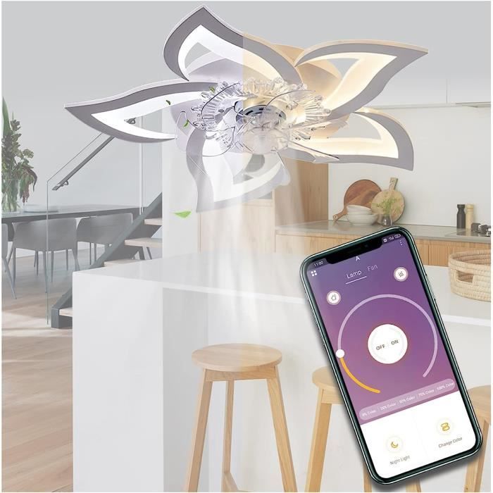 Ventilateurs de Plafond Avec lampe, Silencieux avec Led Lumiere et