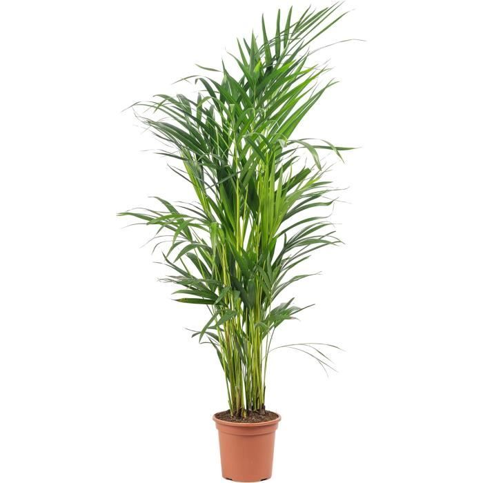 Bac à Fleurs Rond RIVIERA LOFT - Plastique - Diamètre 60 Cm - Blanc