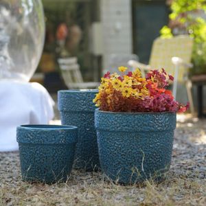 Cache pot H. 13 cm USHUAYA Bleu - Plante artificielle et mini serre