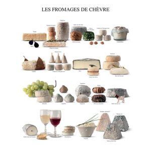 Seasonings Gew/ürze Atelier Nouvelles Images Affiche 24x30 cm Les condiments