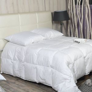 Couette Hiver Canard 240x220 Cm 90 Duvet Neuf Achat Vente Couette Cdiscount