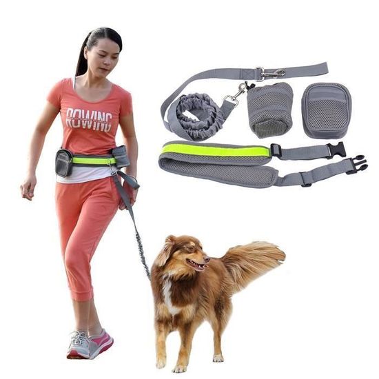 Ceinture Ventral Avec Laisse Lanière pour Chien accouple Réglable de Course Promenade avec deux Sacs H1636