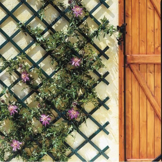 Treillis en plastique 0,5 x 1,5 blanc MINI-TRELLIS