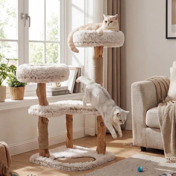Arbre à chat moderne en bois naturel 48x48x101cm - branches authentiques coussins rembourrés lavables design bohème chic pour chats