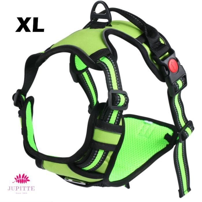 Meilleurs prix pour JupVierge Harnais Chien Anti Traction Vert-XL, Arnet pour Chien Facile à Mettre Harnais Réfléchissant Réglable