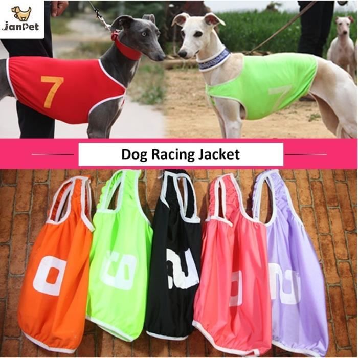 Manteau Chien veste de course manteau de course Whippet Greyhound costume Jersey colore chien de compagnie vetements Type black S Cdiscount