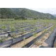 Toile Anti-Mauvaises Herbes - Tissu de Paillage Jardin - Noir - 2M x 50M - Perméable Résistant à la Déchirure-3