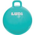 Ballon sauteur XXL bleu LUDI - A partir de 5 ans - résistant pour intérieur et extérieur-0