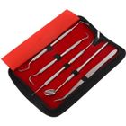 Kit de Nettoyage Dentaire Professionnel - DELAMAN - 5 Outils en Acier Inoxydable - Autoclavable et Stérilisable