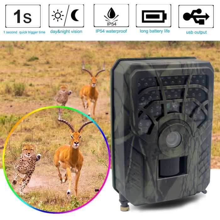 Détecteur de chasse HD Surveillance caméra étanche à induction infrarouge rouge extérieur webcam096