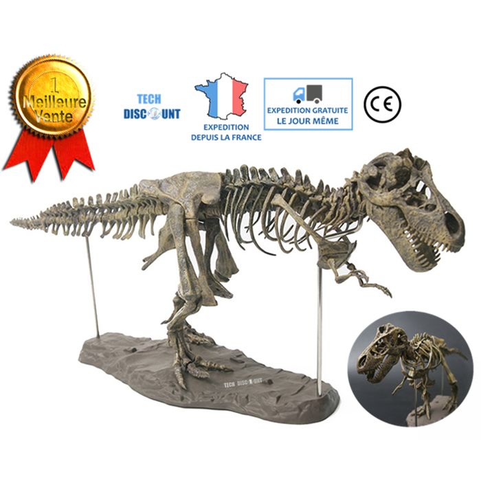 TD® squelette Dinosaure à assembler réaliste enfant jouet jurassic world anniversaire Tyrannosaure fossile os simulation éducatif