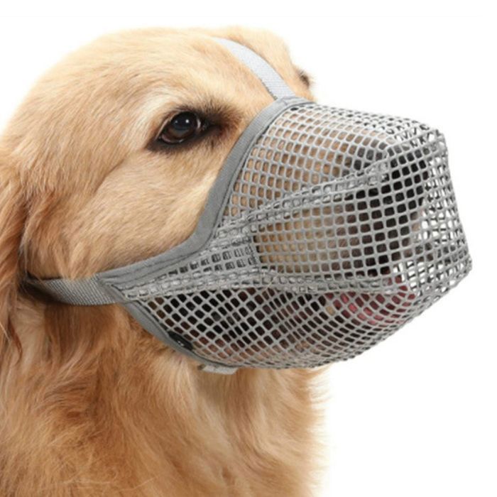 Muselière pour chien, muselière recouverte de maille souple pour chiens de petite, moyenne et grande taille, muselière de