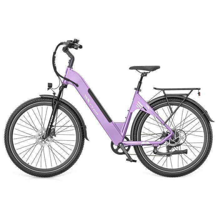 Vélo Électrique TTGO C5 Moteur 250W 70Nm Batterie 48V 13 5Ah IPX5 Autonomie 90km Freins Hydrauliques 25km/h Homme et Femme