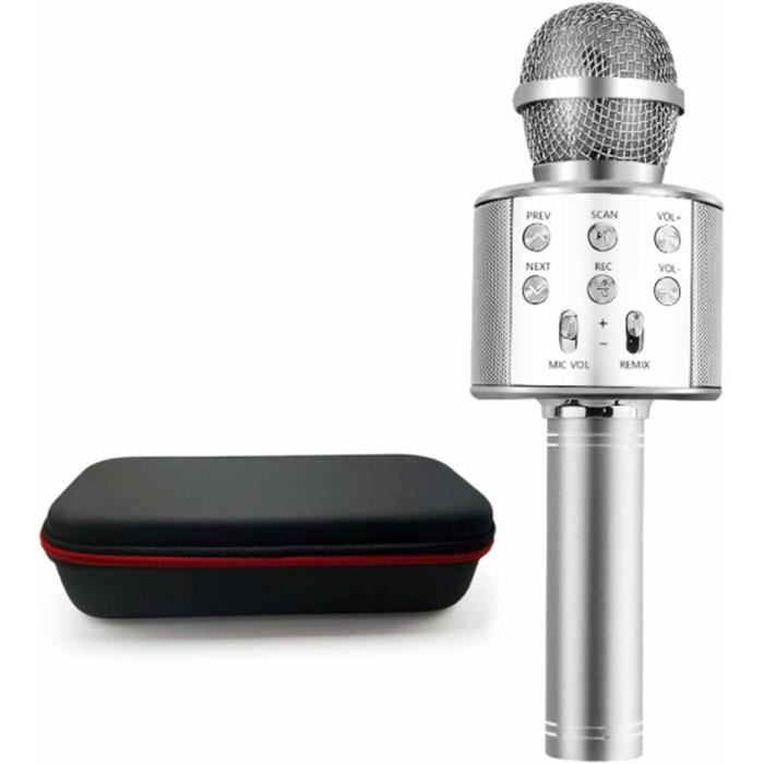 Microphones sans fil et télécommande The Platinum Karaoké