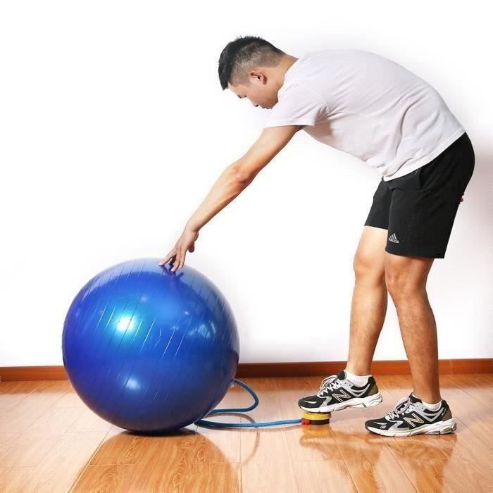 Ballon suisse de gym 65 cm avec pompe - swiss ball ballon fitness