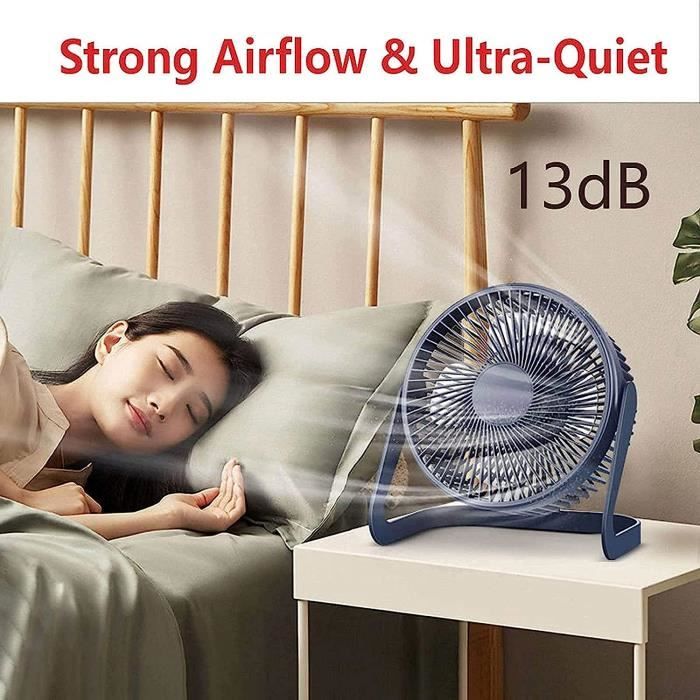 伟 祥 Petit ventilateur de Bureau à Fleurs - Mini ventilateur Portable de  Charge USB