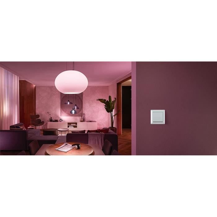 Philips Hue Module d'interrupteur mural, Blanc, fonctionne avec Alexa,  Google Assistant et Apple Homekit - Cdiscount Bricolage