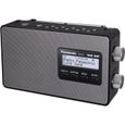 Radio PANASONIC D10 - DAB/DAB+ - FM - 2W - Noir-0