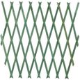 Treillis pour jardin - Trade Shop Traesio - Extensible en bois - Vert - 100x300 cm-0