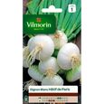 VILMORIN Oignon blanc de Paris-0